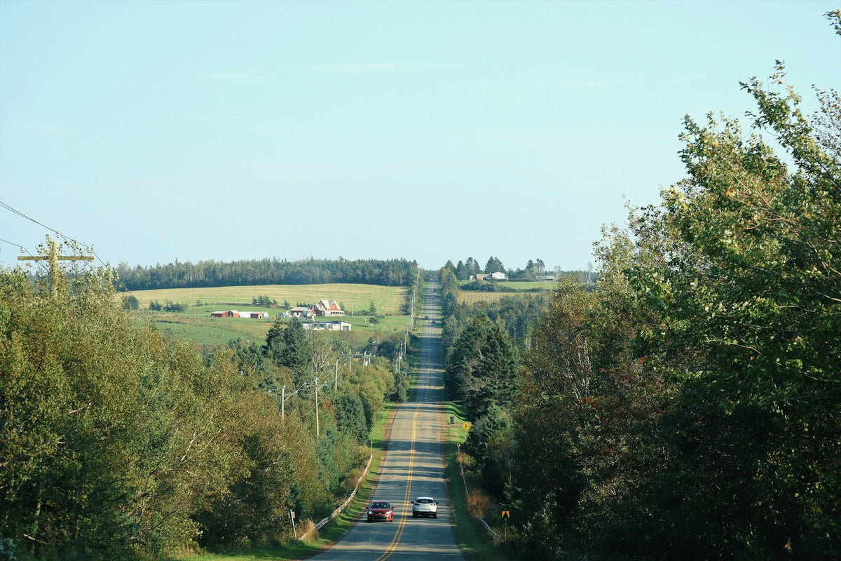 Strasse durch sommerliche Ländlichkeit