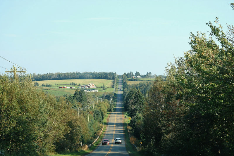 Strasse durch sommerliche Ländlichkeit