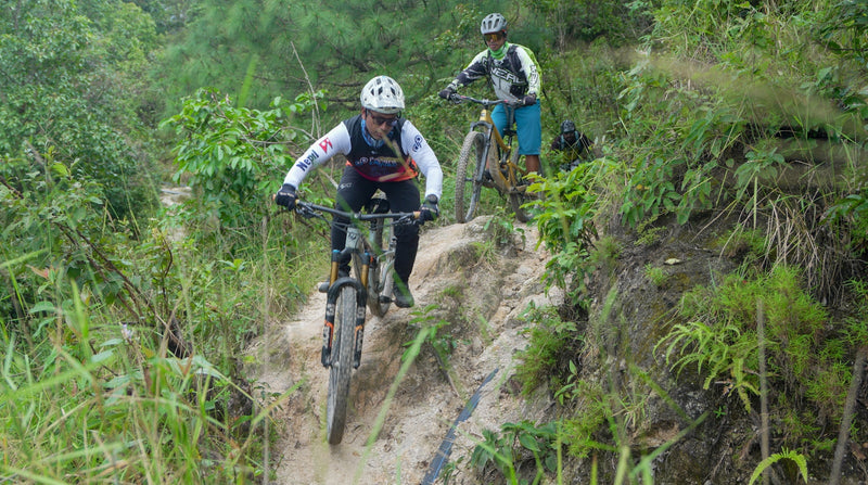 Zwei Mountainbiker auf einem Waldweg