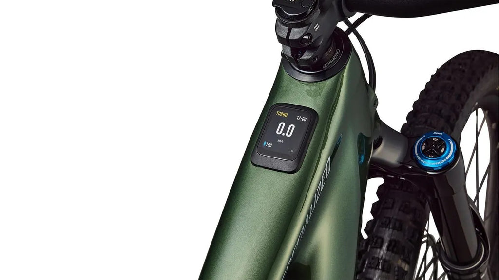 Specialized Turbo Levo 4 Expert Specialized 2026 Gloss Cypress Metallic/Silver Dust