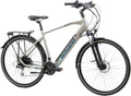 F.Lli Schiano E-Bike Herren 28 Zoll, 418Wh Abnehmbarer Akku, 50Nm Motor, Shimano 21-Gang, Hydraulische Scheibenbremsen, E-Wave Grau